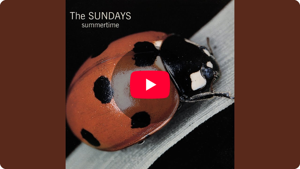 Embed from www.youtube.com