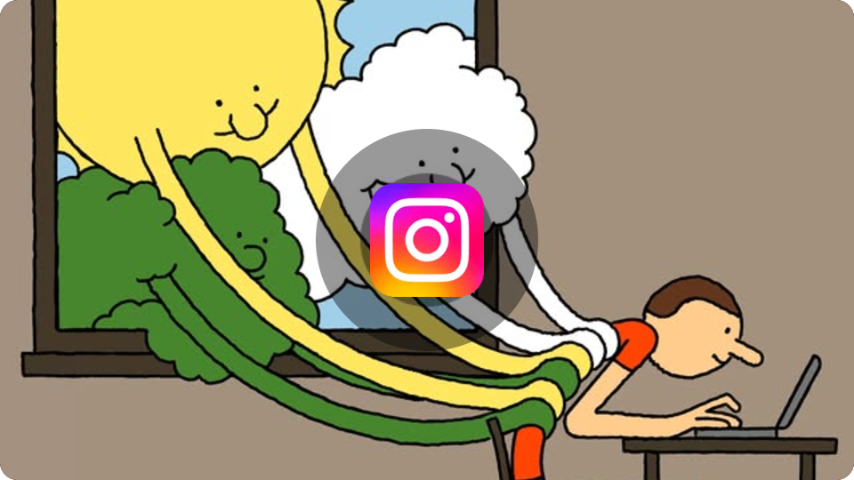 Embed from www.instagram.com