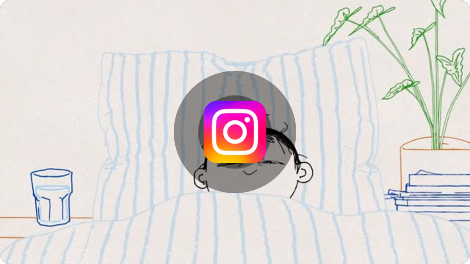Embed from www.instagram.com