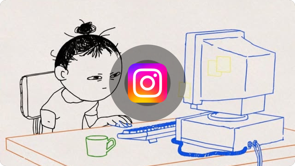 Embed from www.instagram.com